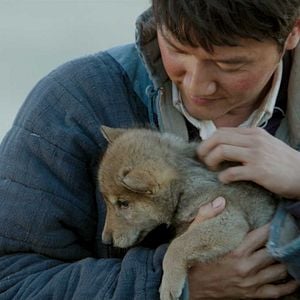 Foto El último lobo (Wolf Totem)