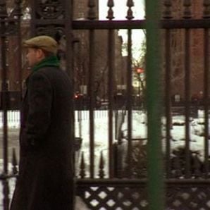 Foto Looking for Kitty