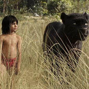 Foto Neel Sethi