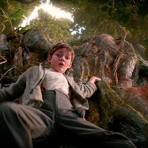 Foto Levi Miller (II)