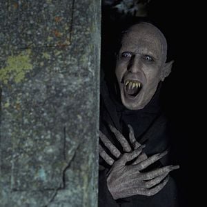 Foto Lo que hacemos en las sombras