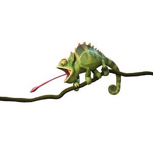 Foto Robinson, una aventura tropical