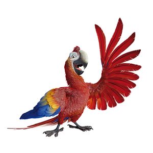 Foto Robinson, una aventura tropical