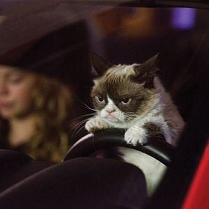 Foto Grumpy Cat’s Worst Christmas Ever