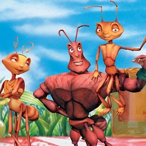 Foto Antz (Hormigaz)