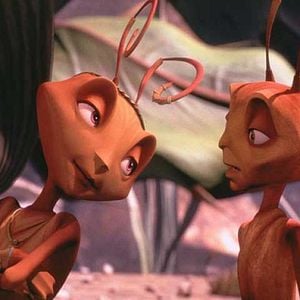 Foto Antz (Hormigaz)