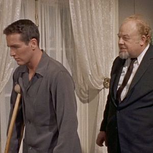 Foto La gata sobre el tejado de zinc