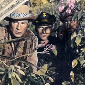 Foto Tambores lejanos