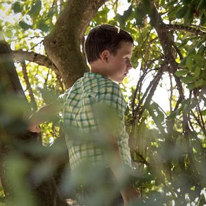 Foto Un día perfecto para volar