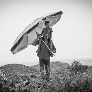 Foto Un día perfecto para volar
