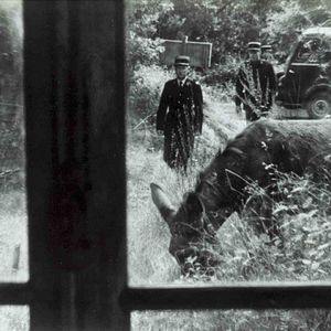 Foto Al azar, Baltasar