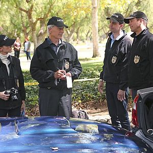 Foto Mark Harmon
