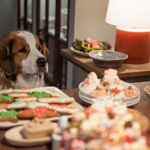 Foto Navidades, ¿bien o en familia?