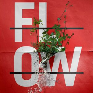 Foto Flow