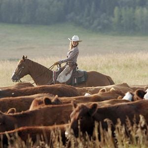 Foto Valle de sombras