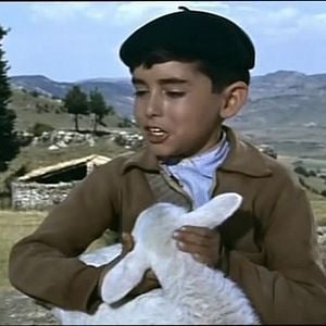 Foto El Ruiseñor de las cumbres