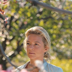 Foto Pastel de pera con lavanda