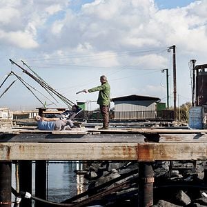 Foto Alessandro Borghi