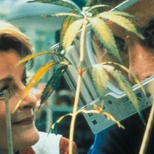 Foto El jardín de la alegría