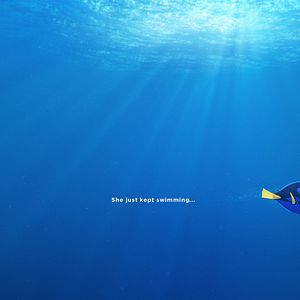 Foto Buscando a Dory