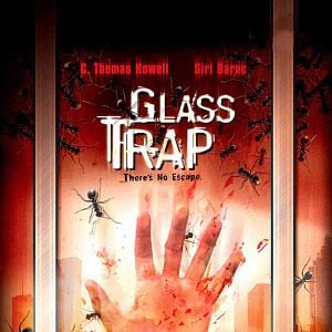 Foto Trampa de cristal