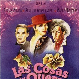 Foto Las cosas del querer