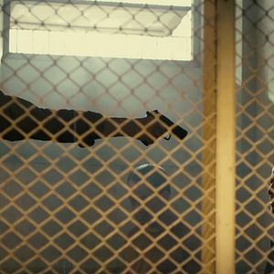 Foto Tolerancia cero