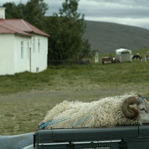 Foto Sigurður Sigurjónsson