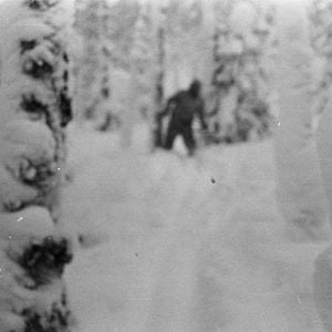 Foto Russian Yeti: The Killer Lives