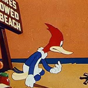 Foto El show del Pájaro Loco