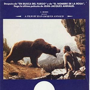 Foto El oso