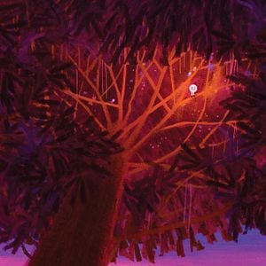 Foto El niño y el mundo