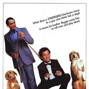 Foto Una auténtica vida de perros