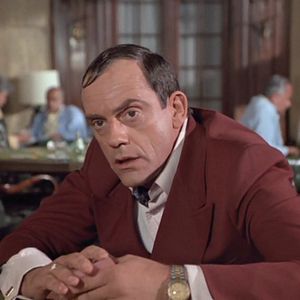 Foto Una auténtica vida de perros