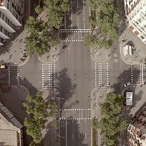 Foto Un día vi 10.000 elefantes