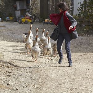 Foto Un doctor en la campiña