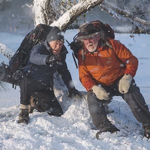 Foto Un paseo por el bosque