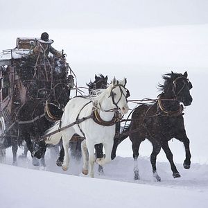 Foto Los odiosos ocho