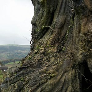 Foto Un monstruo viene a verme