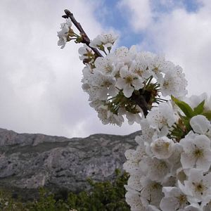 Foto Amaginea, es el retorno a la madre naturaleza