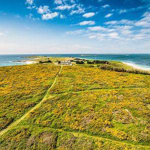 Foto Comisario Dupin: Relaciones bretonas