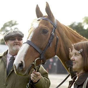 Foto Caballo ganador