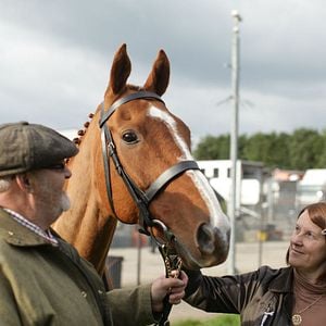 Foto Caballo ganador