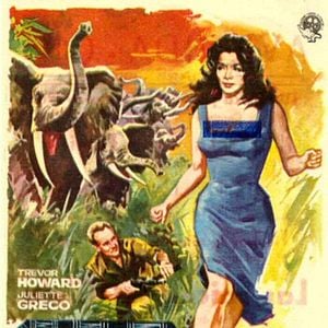 Foto Las raíces del cielo