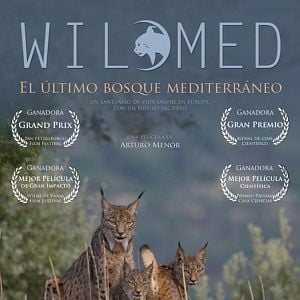 Foto WildMed, el último bosque mediterráneo