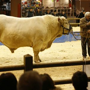 Foto Gérard Depardieu