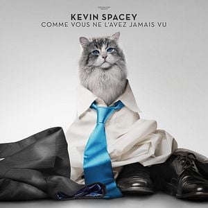 Foto Siete vidas, este gato es un peligro