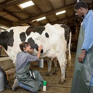 Foto Quien siembra amor...