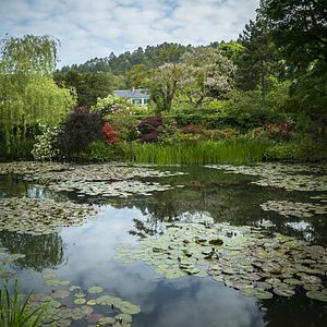 Foto Pintando el jardín moderno: De Monet a Matisse