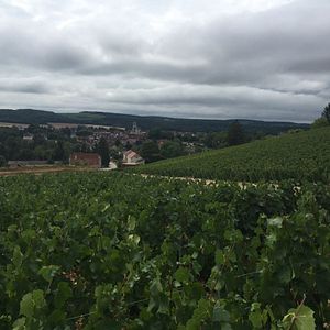 Foto Renoir: Admirado y denigrado